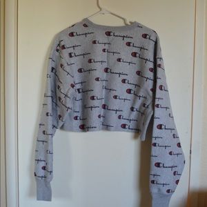 Cropped Champion Hoodie